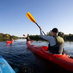 Spływ kajakowy Pilicą w Spale: Jak zaplanować idealną przygodę?