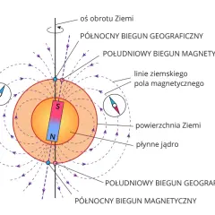 Ilustracja pokazuje Ziemię z polem magnetycznym i oznaczeniami na kompasie, bieguny geograficzne i magnetyczne.