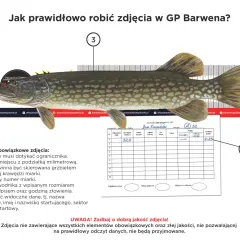 Szczupak 52 cm na miarce, z widocznym numerem zawodnika i godziną złowienia. Kluczowy jest wymiar ochronny ryby.