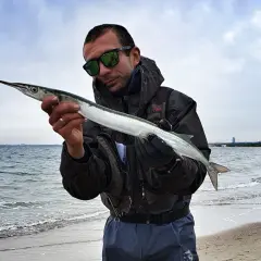 Szczęśliwy wędkarz prezentuje długą rybę złowioną w Bałtyku. W tle widać morze i plażę.