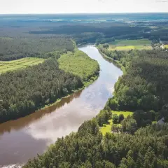 Szeroka, brązowa rzeka Nemen meandruje przez gęste, zielone lasy i pola uprawne. Widok z lotu ptaka ukazuje piękno dzikiej przyrody.