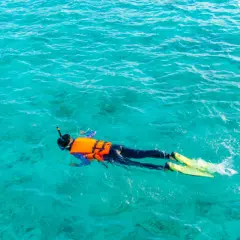 Osoba w masce i płetwach pływa na powierzchni turkusowej wody, ciesząc się **snorkelingiem**.