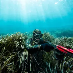 Podwodny myśliwy w maskę i kombinezon, gotowy do spearfishing, czeka w gęstwinie wodorostów.