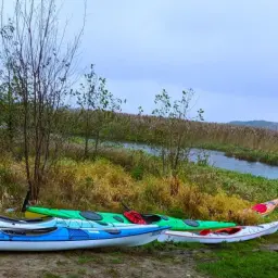 Kajaki czekają nad rzeką. Stowarzyszenie instruktorów i trenerów kajakarstwa przygotowuje się do wyprawy.