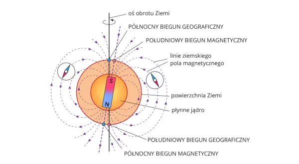 Ilustracja pokazuje Ziemię z polem magnetycznym i oznaczeniami na kompasie, bieguny geograficzne i magnetyczne.