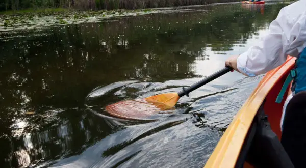 Skręcanie kajakiem: Opanuj kluczowe techniki i płyń pewnie!