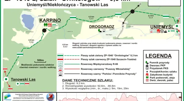 Twój przewodnik: Kajaki Wielkopolska. Trasy, ceny, porady!