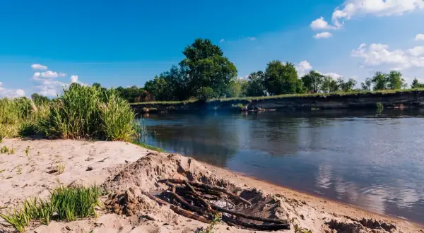 Piaskowy brzeg i ognisko nad spokojną rzeką Wartą. W tle bujna zieleń i błękitne niebo.