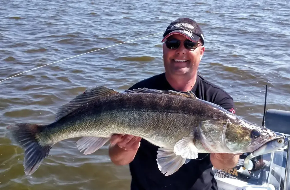 Szczęśliwy wędkarz z okazałym sandaczem, dowód na udane darmowe łowiska.