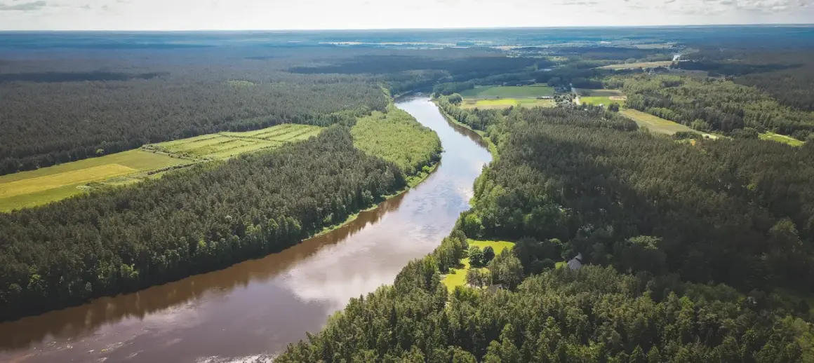 Szeroka, brązowa rzeka Nemen meandruje przez gęste, zielone lasy i pola uprawne. Widok z lotu ptaka ukazuje piękno dzikiej przyrody.