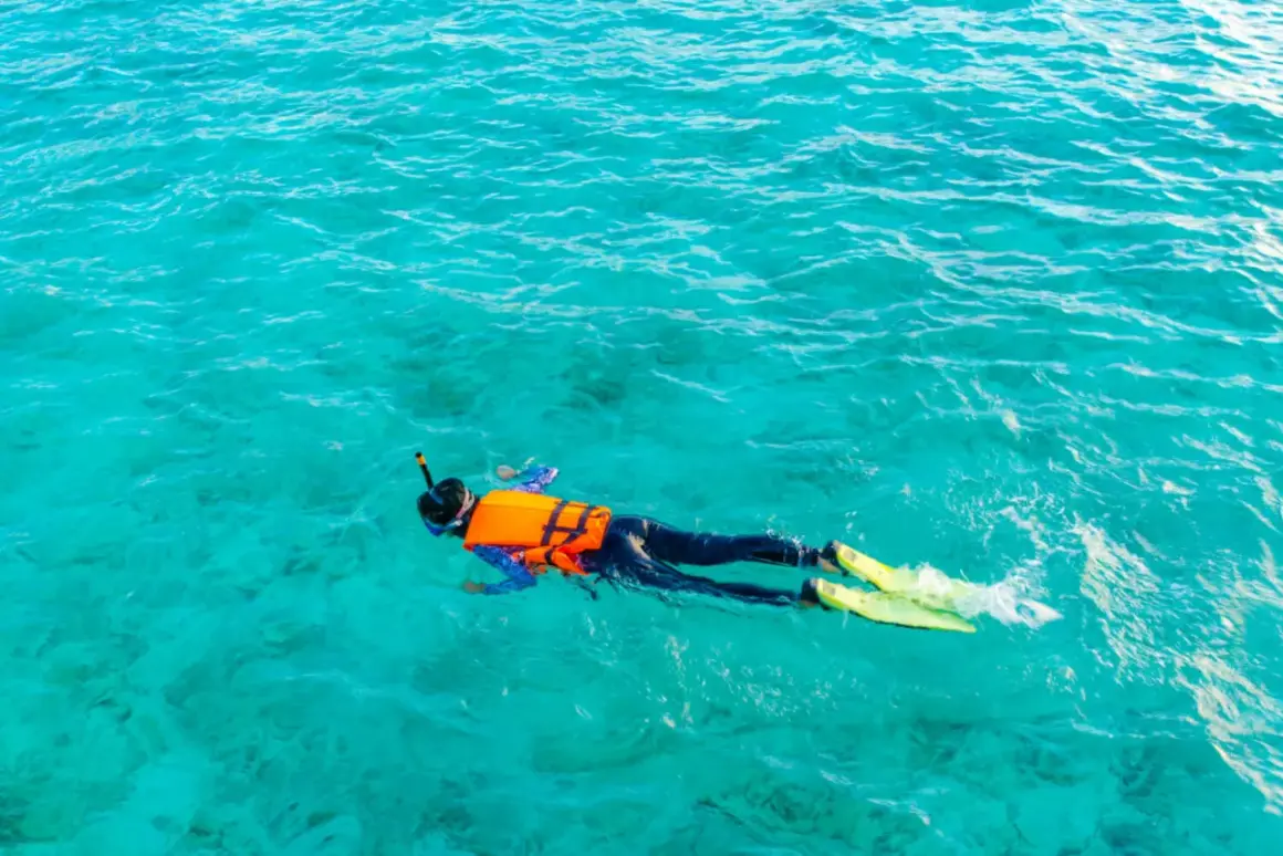 Osoba w masce i płetwach pływa na powierzchni turkusowej wody, ciesząc się **snorkelingiem**.