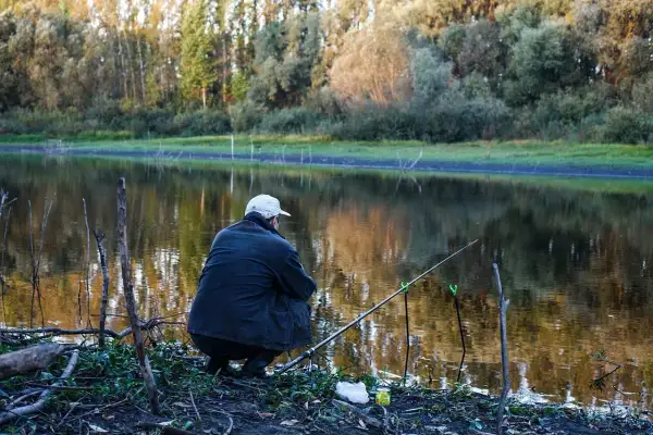Wędkarz siedzi nad jeziorem, czekając aż tołpyga na co bierze. Słońce odbija się w wodzie, a za nim rozciąga się las.